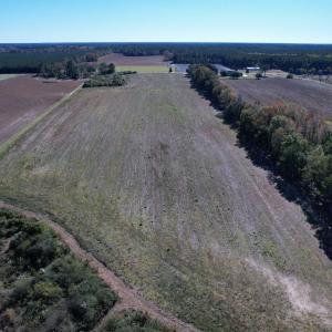 Photo #1 of 64 Acres-TBD Vox Hwy., Lake City, SC 64.0 acres
