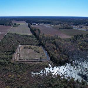 Photo #7 of 64 Acres-TBD Vox Hwy., Lake City, SC 64.0 acres