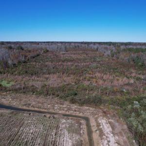 Photo #3 of 64 Acres-TBD Vox Hwy., Lake City, SC 64.0 acres