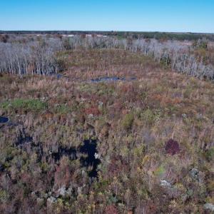 Photo #4 of 64 Acres-TBD Vox Hwy., Lake City, SC 64.0 acres