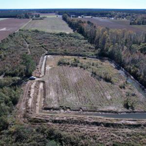 Photo #8 of 52 Acres-TBD Vox Hwy., Lake City, SC 52.0 acres