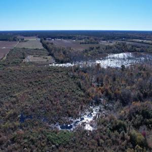 Photo #6 of 52 Acres-TBD Vox Hwy., Lake City, SC 52.0 acres