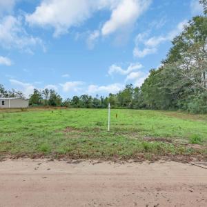 Photo #7 of TBD Willow Grove Dr., Loris, SC 2.5 acres