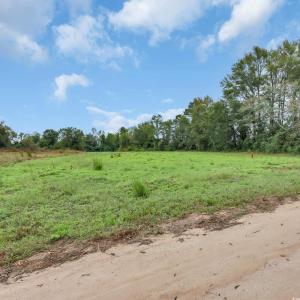 Photo #8 of TBD Willow Grove Dr., Loris, SC 2.5 acres