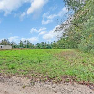 Photo #5 of TBD Willow Grove Dr., Loris, SC 2.5 acres