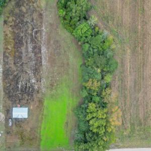 Photo #9 of TBD Willow Grove Dr., Loris, SC 2.5 acres