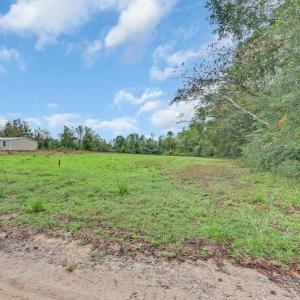 Photo #6 of TBD Willow Grove Dr., Loris, SC 2.5 acres