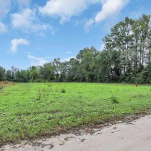 Photo #1 of TBD Willow Grove Dr., Loris, SC 2.5 acres