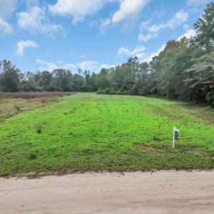 Photo #17 of TBD Willow Grove Dr., Loris, SC 2.5 acres