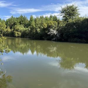 Water view featuring a heavily wooded area