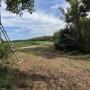 View of undeveloped land featuring rural landscape