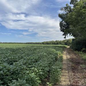 View of local wilderness featuring rural landscape