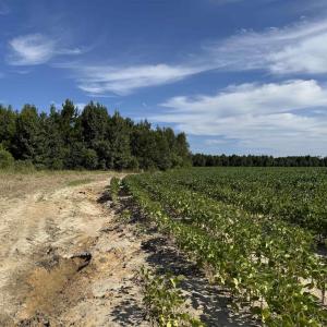 View of undeveloped land featuring rural landscape
