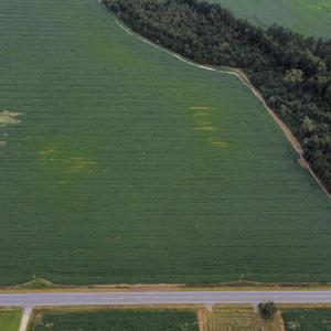 View of rural area featuring rows of crops and pro