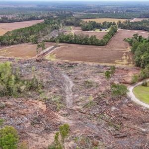Photo #9 of TBD Francis Gibson Rd., Centenary, SC 49.7 acres