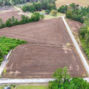 Photo #4 of TBD Francis Gibson Rd., Centenary, SC 49.7 acres