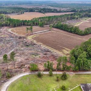 Photo #10 of TBD Francis Gibson Rd., Centenary, SC 49.7 acres