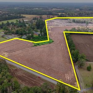 Photo #5 of TBD Francis Gibson Rd., Centenary, SC 49.7 acres