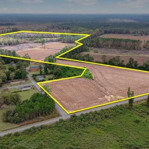 Photo #2 of TBD Francis Gibson Rd., Centenary, SC 49.7 acres