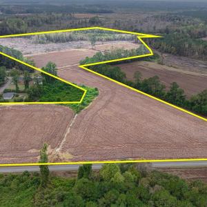 Photo #1 of TBD Francis Gibson Rd., Centenary, SC 49.7 acres