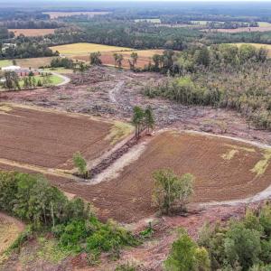 Photo #7 of TBD Francis Gibson Rd., Centenary, SC 49.7 acres