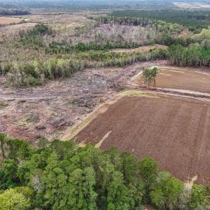 Photo #11 of TBD Francis Gibson Rd., Centenary, SC 49.7 acres