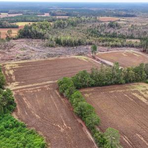 Photo #3 of TBD Francis Gibson Rd., Centenary, SC 49.7 acres