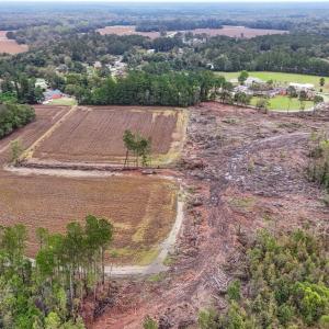 Photo #8 of TBD Francis Gibson Rd., Centenary, SC 49.7 acres