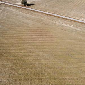 View of rural area featuring abundant farmland