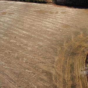 Aerial overview of property's location