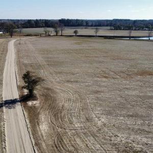 Overview of rural landscape featuring a heavily wo