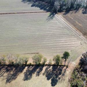 Overview of rural landscape with abundant farmland
