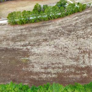 Photo #7 of TBD Big Bull Landing Rd., Conway, SC 1.4 acres