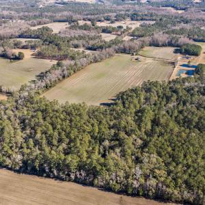 Photo #12 of 7557 Highway 19, Loris, SC 59.9 acres