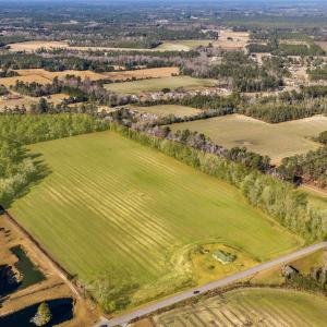 Photo #3 of 7557 Highway 19, Loris, SC 59.9 acres