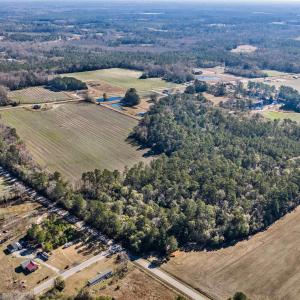 Photo #6 of 7557 Highway 19, Loris, SC 59.9 acres