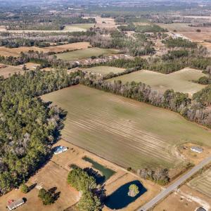 Photo #8 of 7557 Highway 19, Loris, SC 59.9 acres