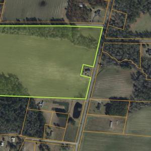 Photo #2 of 7557 Highway 19, Loris, SC 59.9 acres