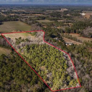 Photo #19 of 7557 Highway 19, Loris, SC 59.9 acres