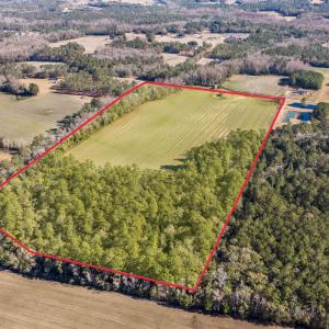 Photo #11 of 7557 Highway 19, Loris, SC 59.9 acres