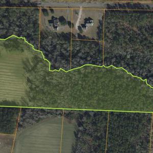 Photo #15 of 7557 Highway 19, Loris, SC 59.9 acres