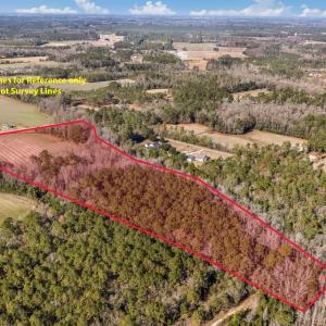 Photo #17 of 7557 Highway 19, Loris, SC 59.9 acres