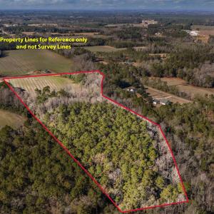 Photo #16 of 7557 Highway 19, Loris, SC 59.9 acres