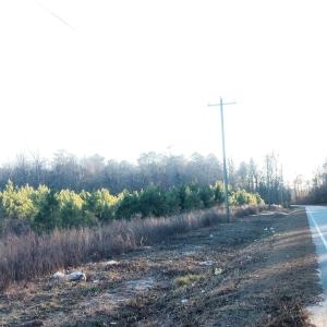Photo #2 of Lot 14 MW Stroud Rd., Nichols, SC 10.3 acres
