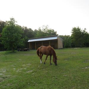 Photo #4 of 4013 Thomas Rd., Little River, SC 8.6 acres