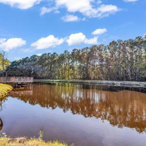 Photo #22 of 4013 Thomas Rd., Little River, SC 8.6 acres