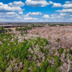 Photo #3 of TBD Mishoe Rd., Conway, SC 9.5 acres