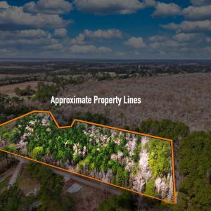 Photo #7 of TBD Mishoe Rd., Conway, SC 9.5 acres