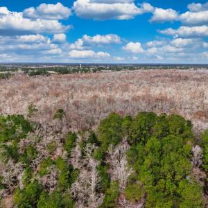 Photo #2 of TBD Mishoe Rd., Conway, SC 9.5 acres