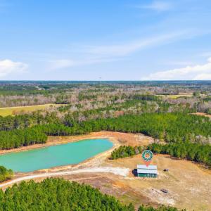 Photo #9 of 7299 Cartrette Rd., Aynor, SC 81.3 acres